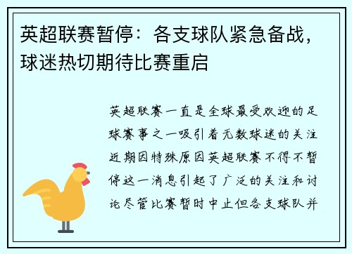 英超联赛暂停：各支球队紧急备战，球迷热切期待比赛重启